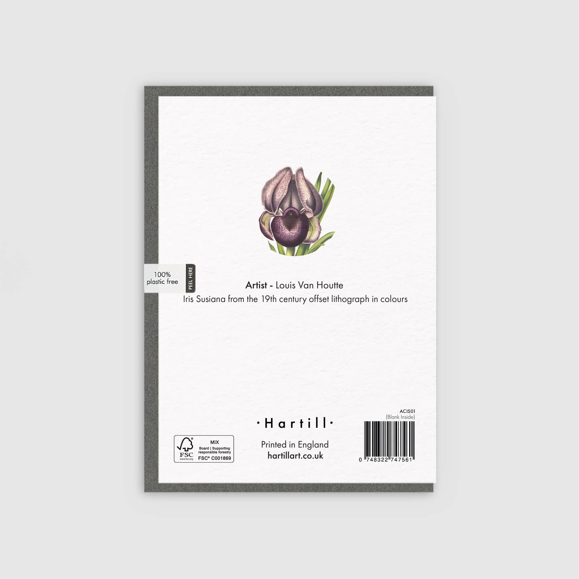 Hartill – wholesale Everyday greeting card – Art Greeting Card Iris Susiana Flower by Louis Van Houtte1