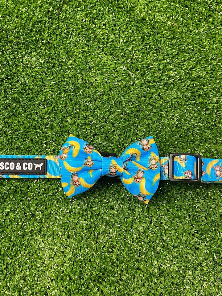 Dog Bow Tie Collar - Monkey Business for wholesale by Bosco & Co