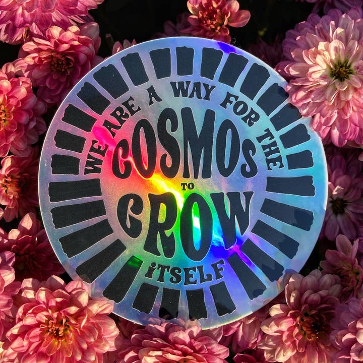 Wir sind eine Möglichkeit für den Kosmos, sich selbst zu wachsen Aufkleber 3“ rund für den Großhandel von The Curio Table