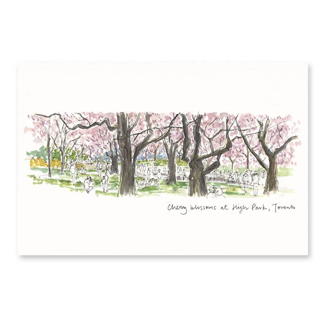 Toronto High Park Postcard for wholesale by Gotamago