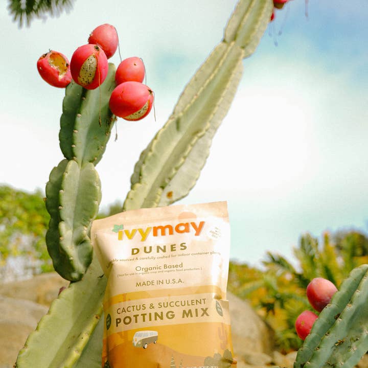 Organic Cactus & Succulent Potting Soil Mix (5QT) for wholesale by Ivy May Co