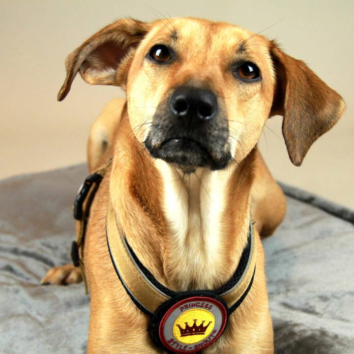 Adesivo - Patch it! - PRINCIPESSA, 6cm per la vendita all'ingrosso da parte di StyleSnout