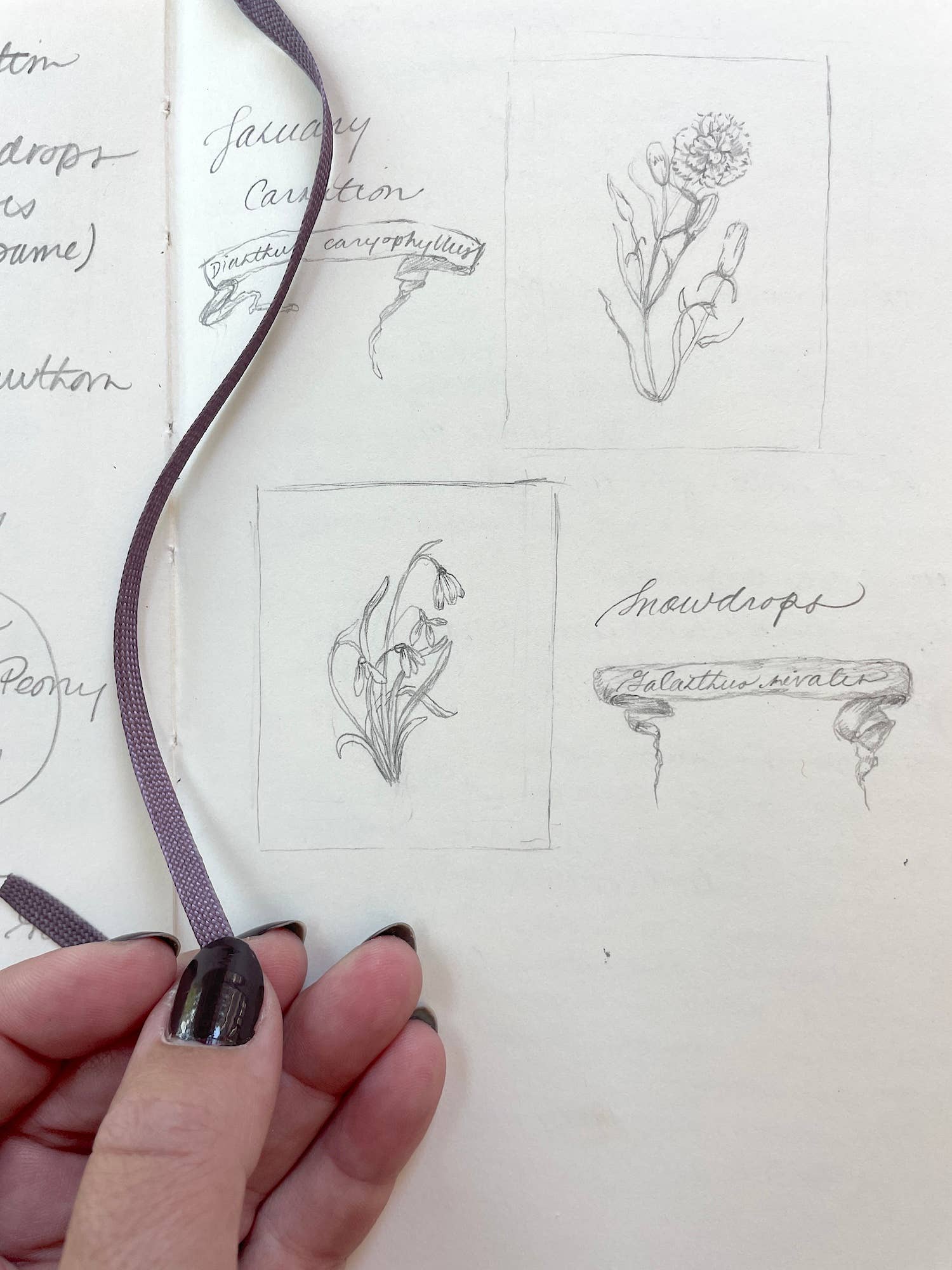 Kara Valentino Ffield Art - Wholesale Art Print - Snowdrops | Watercolor Art Print 9