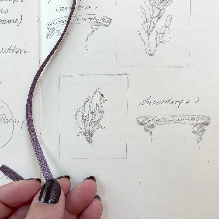 Kara Valentino Ffield Art - Wholesale Art Print - Snowdrops | Watercolor Art Print 9