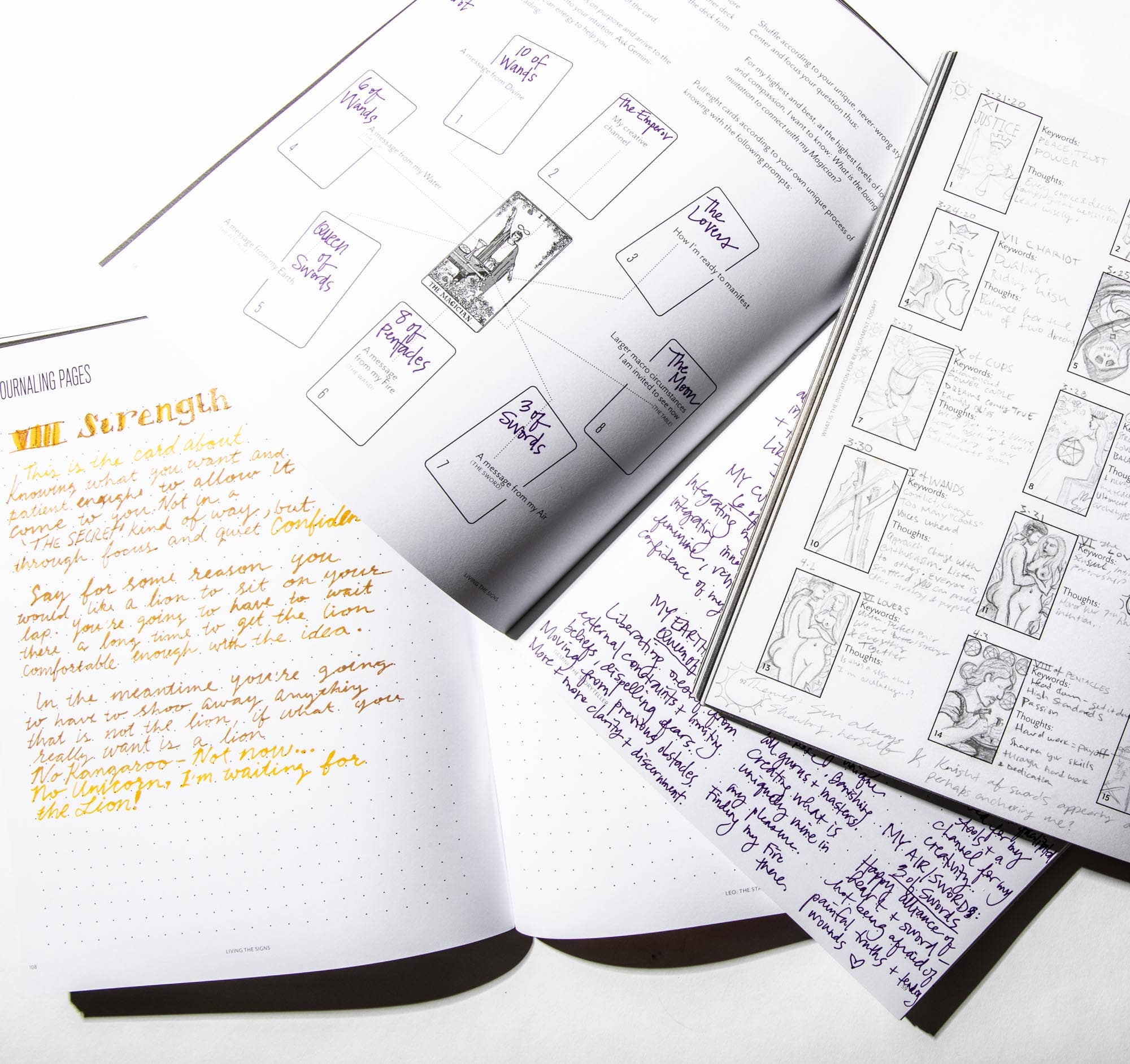 In Case of Emergence - Wholesale Self-Help & Personal Development - Aries: The Warrior4