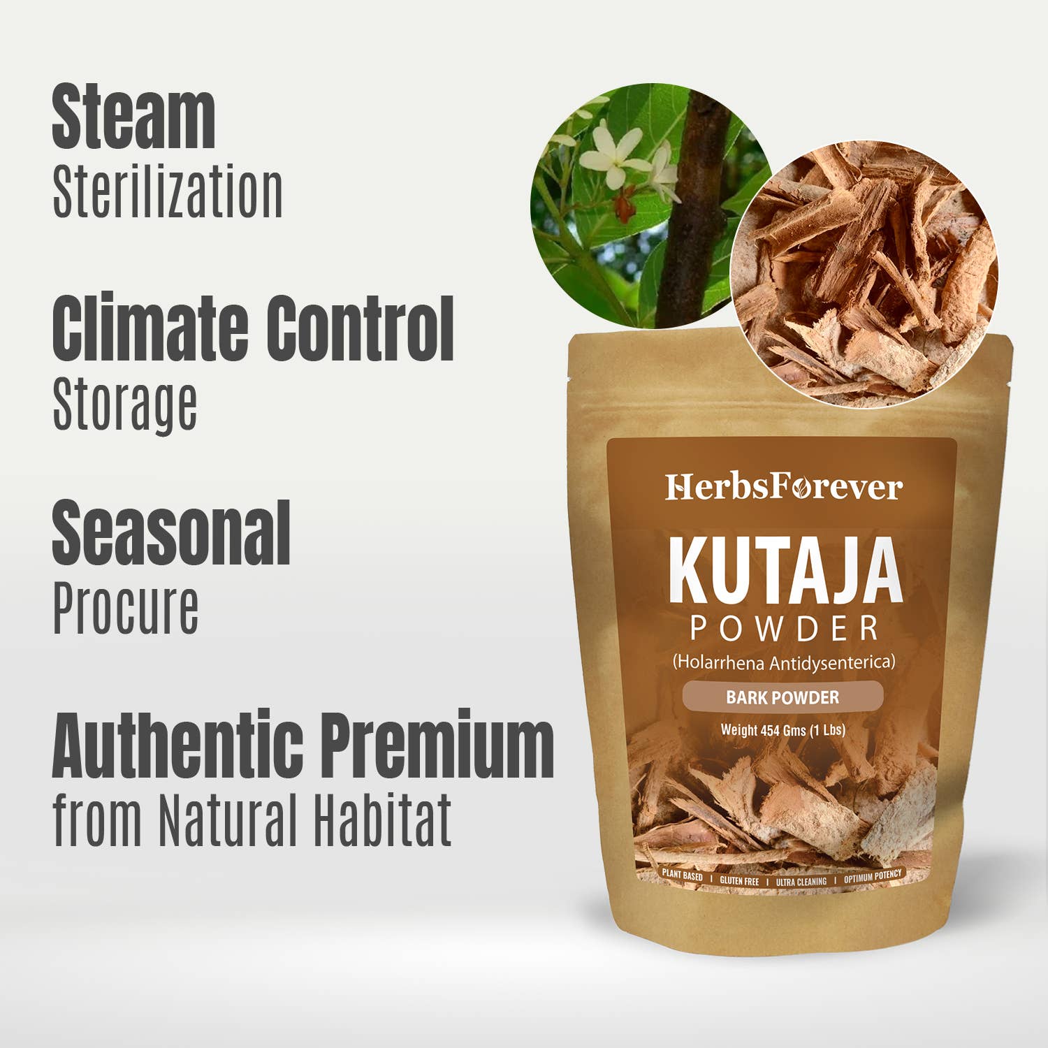 HerbsForever - Wholesale Protein/Superfood Powder - Kutaja Powder Holarrhena Antidysenterica Non GMO Vegan4