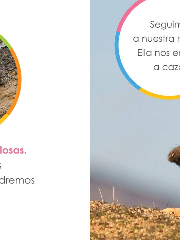 El principio de los: guepardos bebés för wholesale av The Creative Company