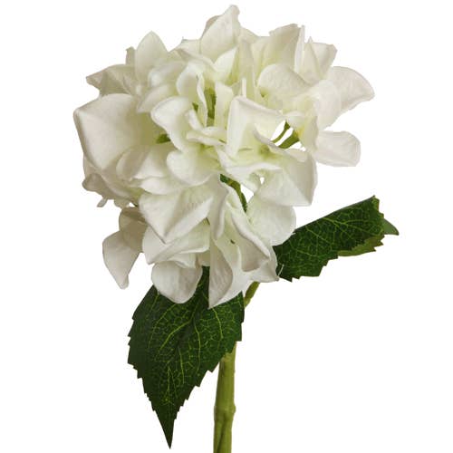 hydrangea 33 cm white for wholesale by Floratexx