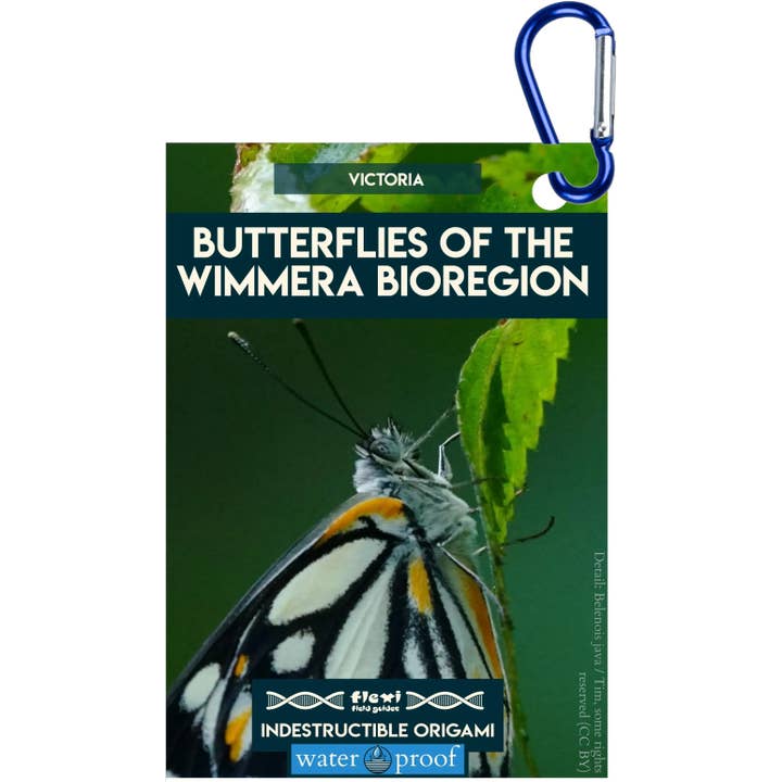 Vlinders van de Wimmera Bioregio-Onverwoestbare Origami voor wholesale door Flexi Field Guides