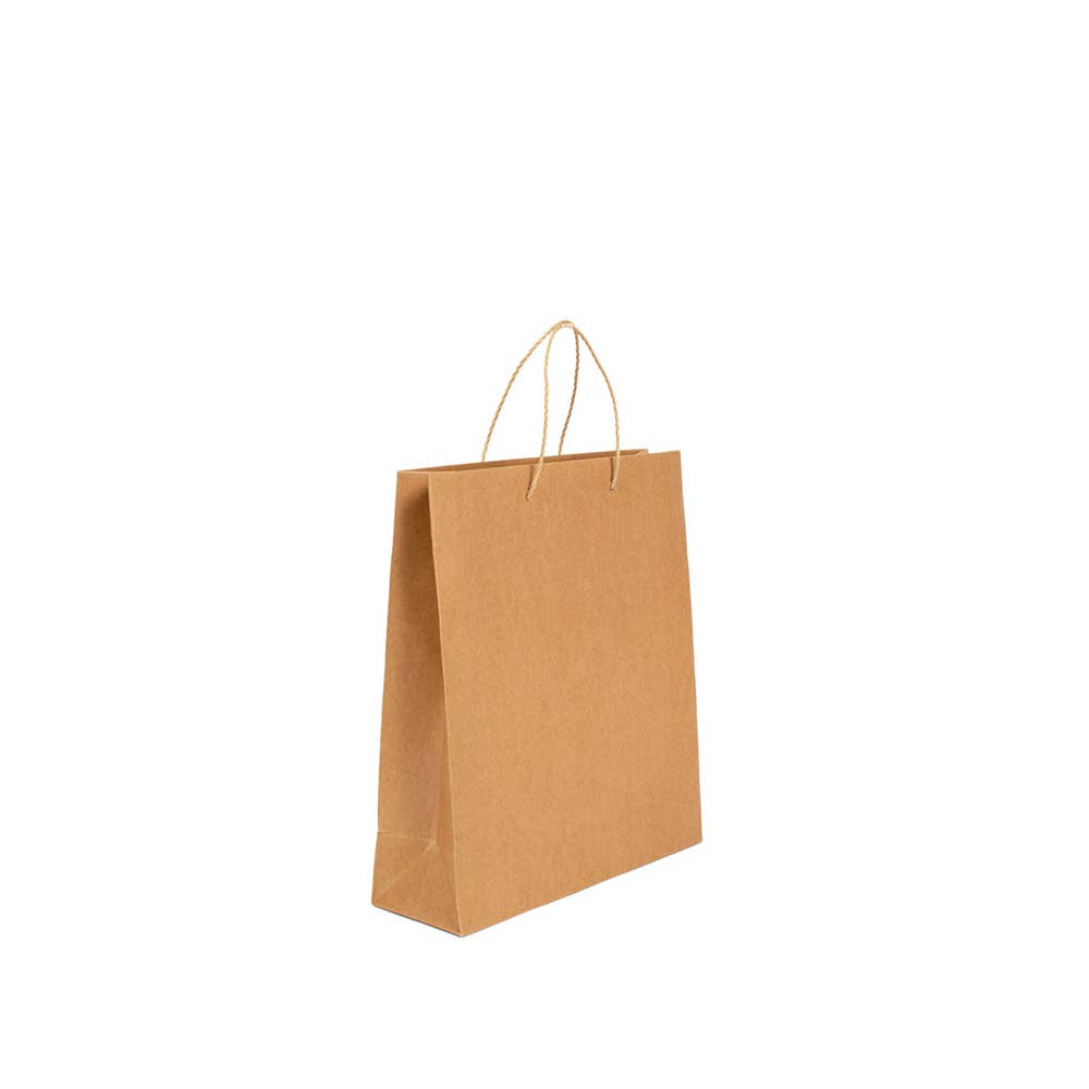 Havana Luxury Kraft Avana Paper Bag (Paper Handle) for wholesale on Faire4