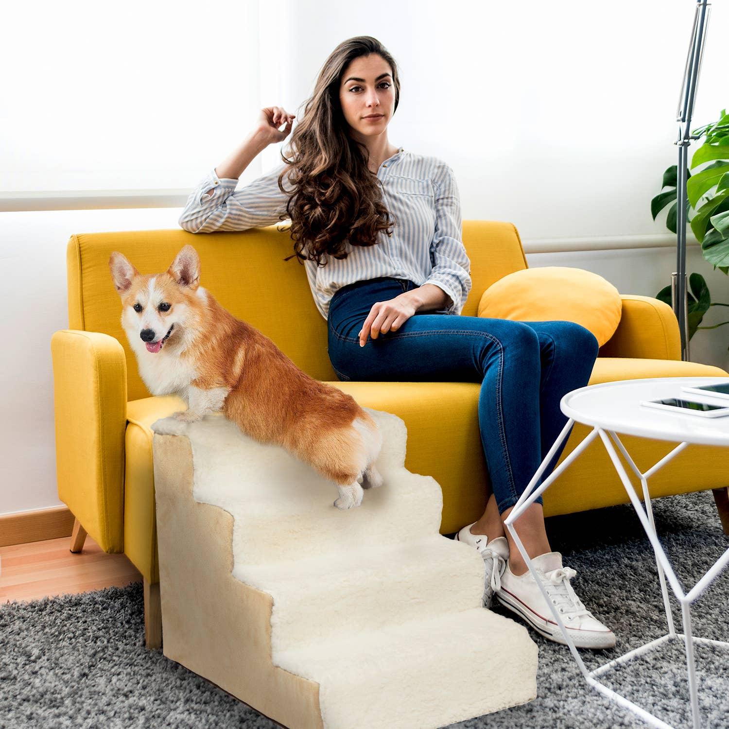 Precious Tails - Wholesale Pet Steps & Ramps - Cat/Dog - Home Base  4-Step Dog Stairs, Pet Steps for Couch and Bed13