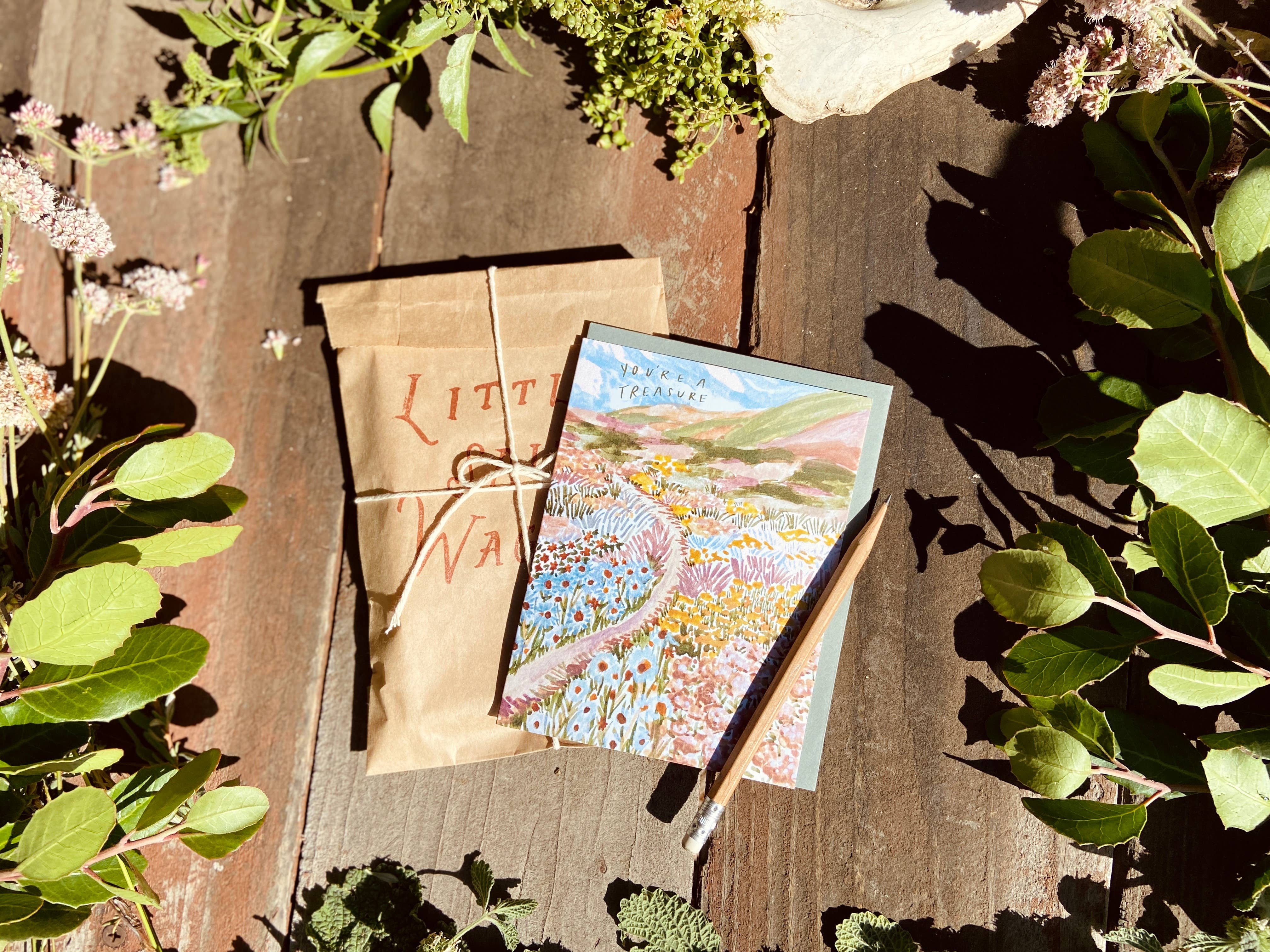 Little Salt Wagon - Wholesale Everyday Greeting Card - You're A Treasure Wildflower Colorful Coast Greeting Card4