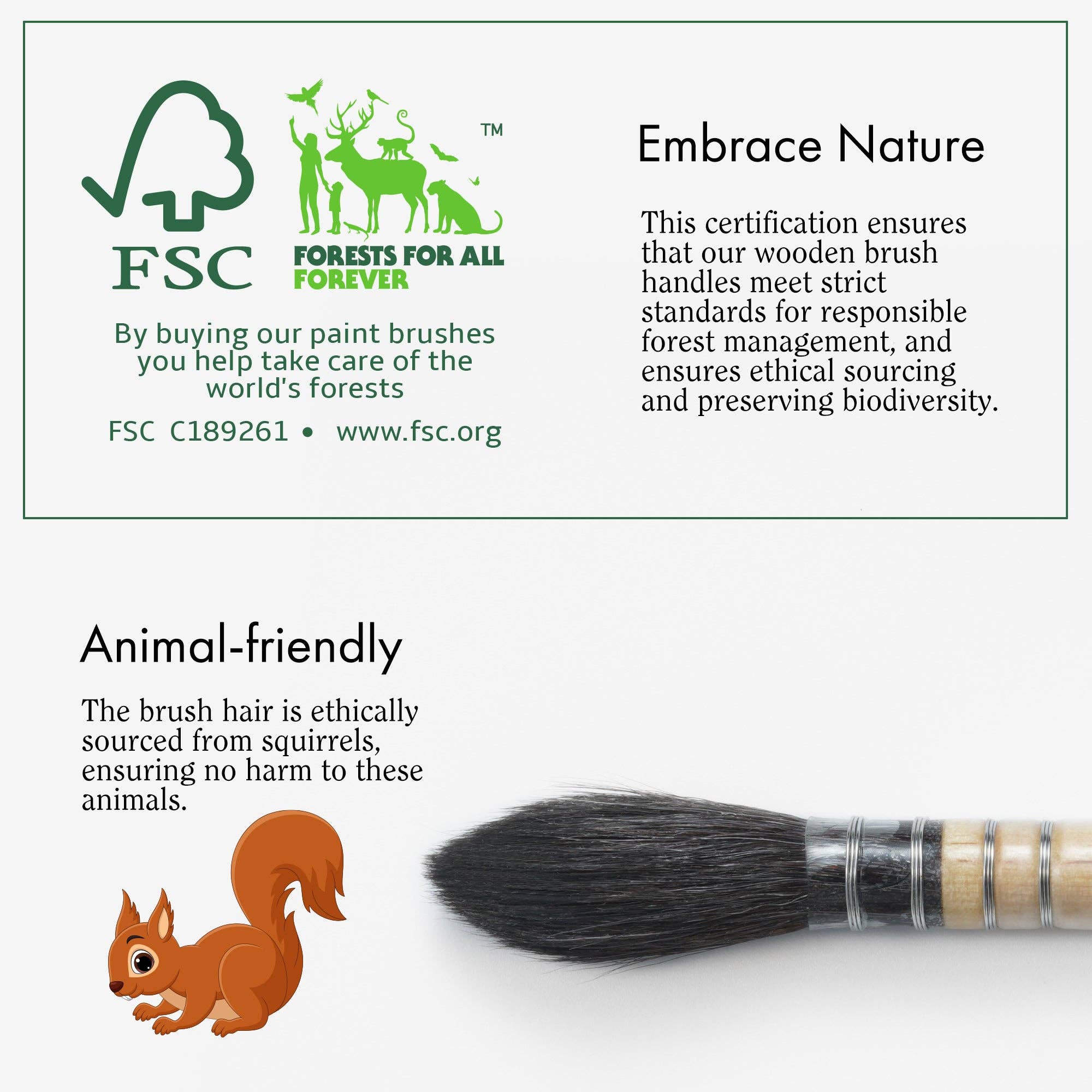 Artify - Wholesale Paint/Wax Brush - ARTIFY Professional Squirrel Hair Watercolor Brushes10