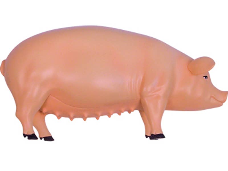 TEDCO Toys - Vente Jouet classique – enfant - Cochon 4D Vision2