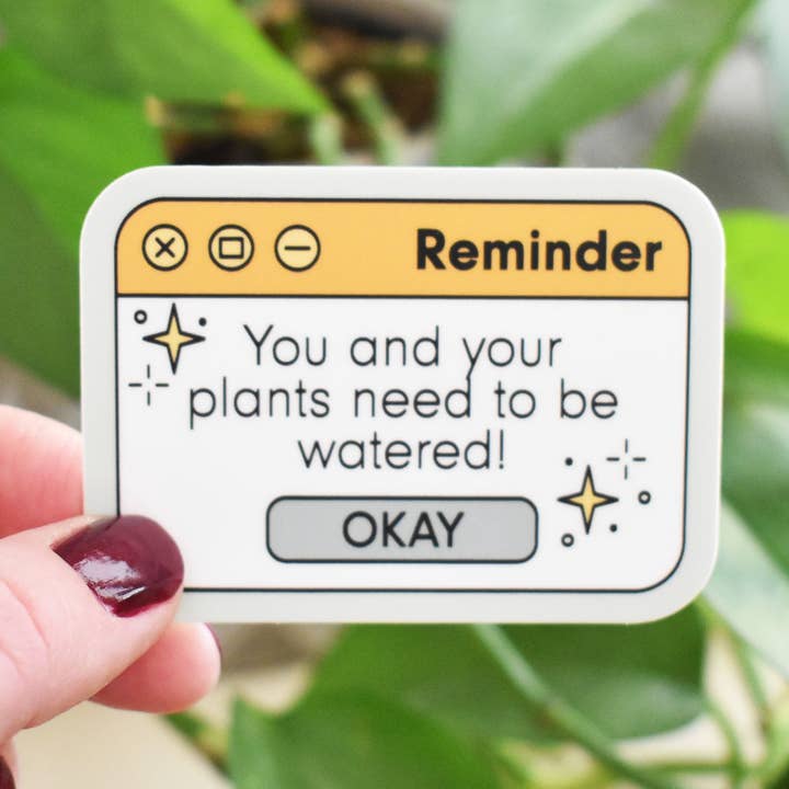 Water Reminder Popup Sticker for wholesale by Wild North Co