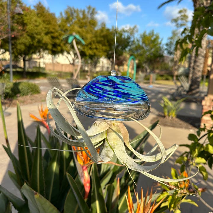 ApricotMint - Wholesale Hanging Planter - Large Hand Blown Art Glass Jellyfish Plant Holder