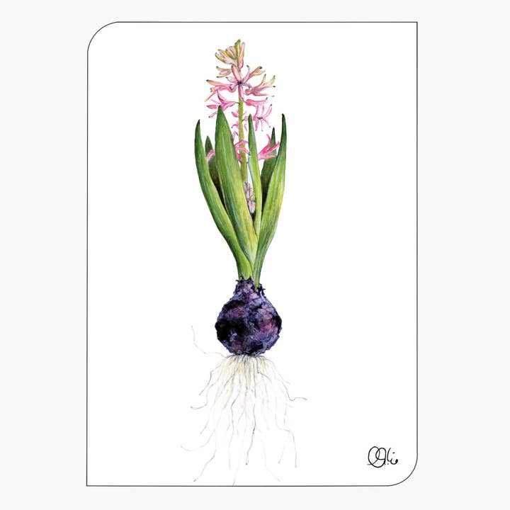 frühlingshafte Osterkarte - Hyazinthe - rosa - Zwiebelblume für den Großhandel von christine wiegelmann design