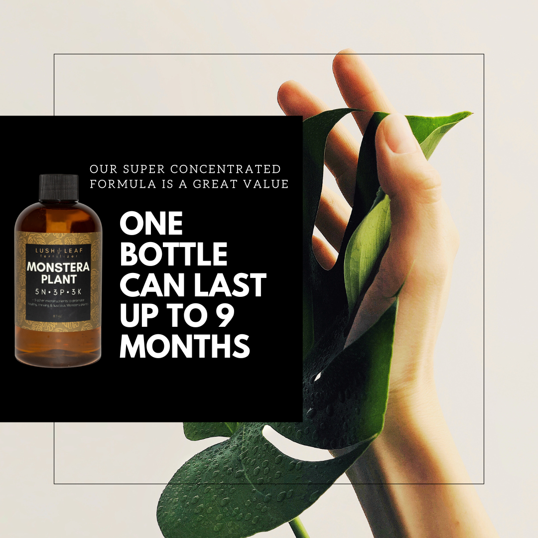 Lush Leaf - Wholesale Fertilizer - Monstera Plant Food5