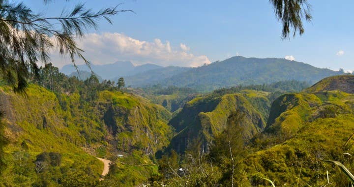 Acme Import Co - Wholesale Instant Coffee/Espresso - Mount Hagen Organic Instant Coffee, 3.53oz Glass Jar7