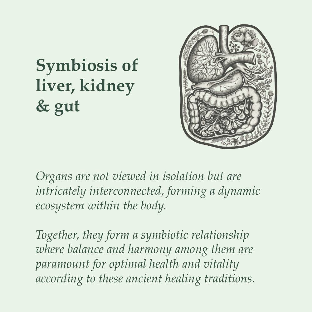 SOULEL - Wholesale Oral Supplement/Vitamin - Organic Detox - Botanical Blend for Detoxification2