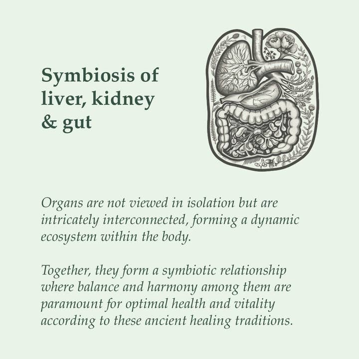 SOULEL - Wholesale Oral Supplement/Vitamin - Organic Detox - Botanical Blend for Detoxification2