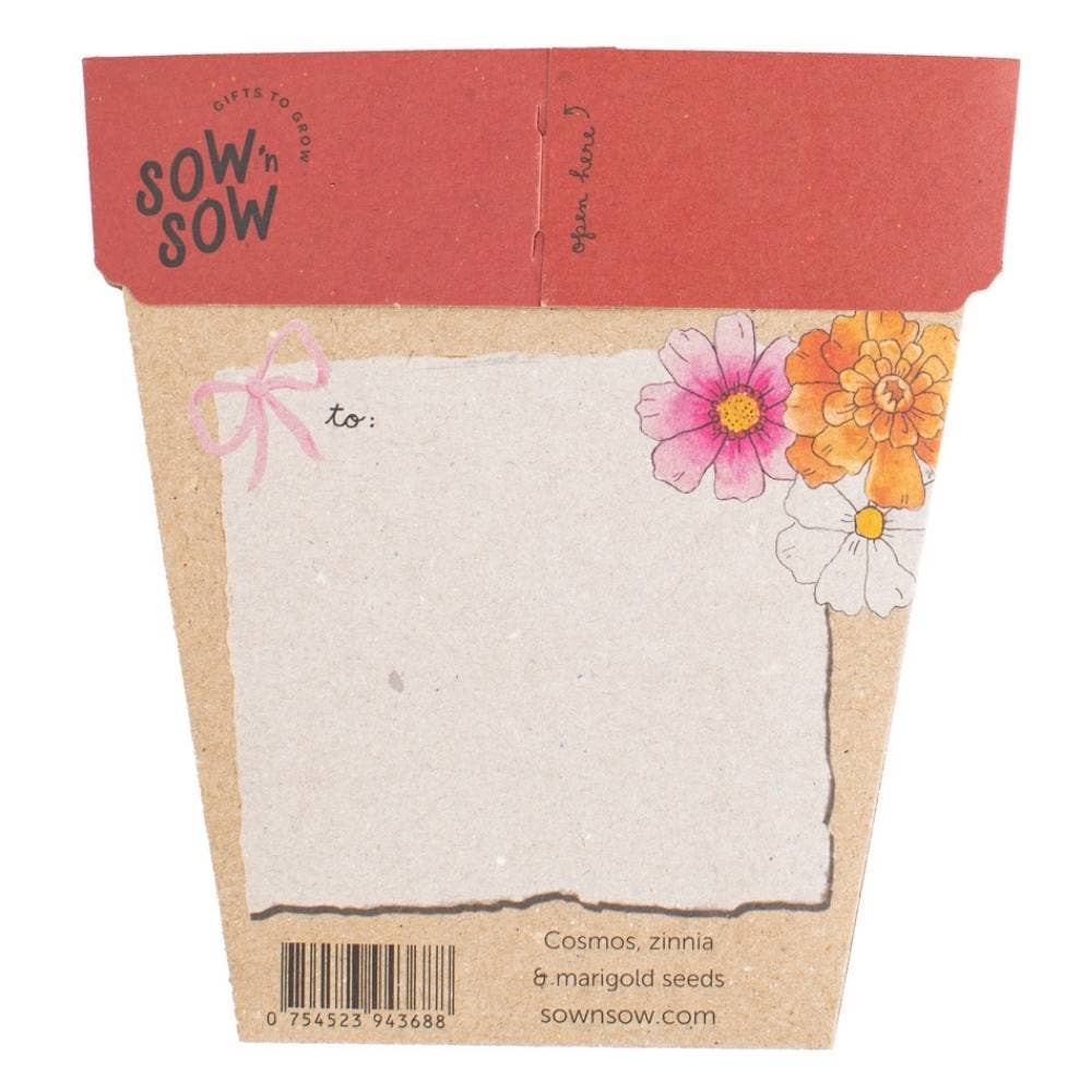 Sow 'n Sow - Vente Cartes de Noël - Cadeau de graines de fleurs de Noël (Australie uniquement)1