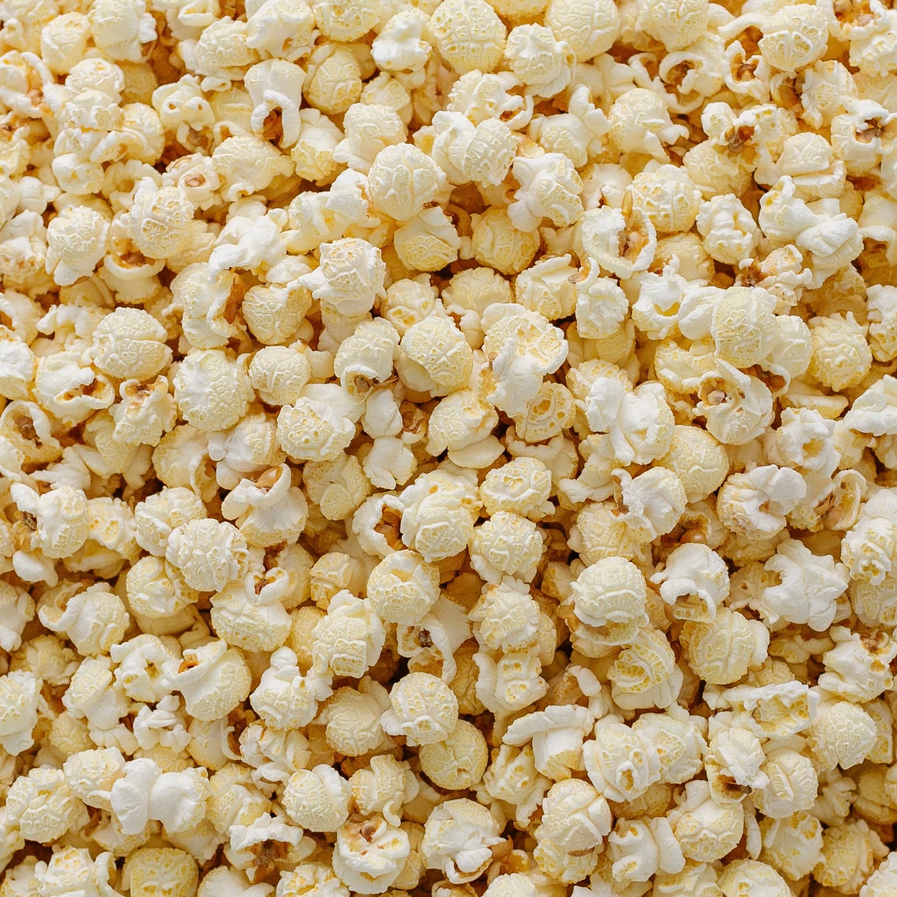Miss Hannah's Gourmet Popcorn – wholesale Popcorn – Buttery Salt Popcorn3