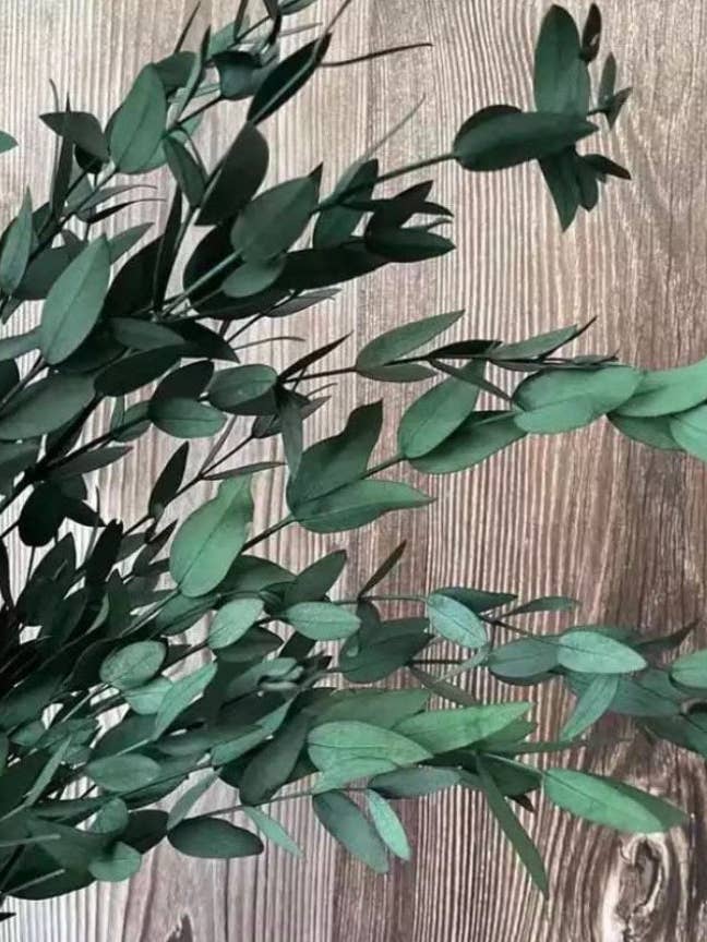 Preserved Eucalyptus Bouquet for wholesale by DemiVi Style