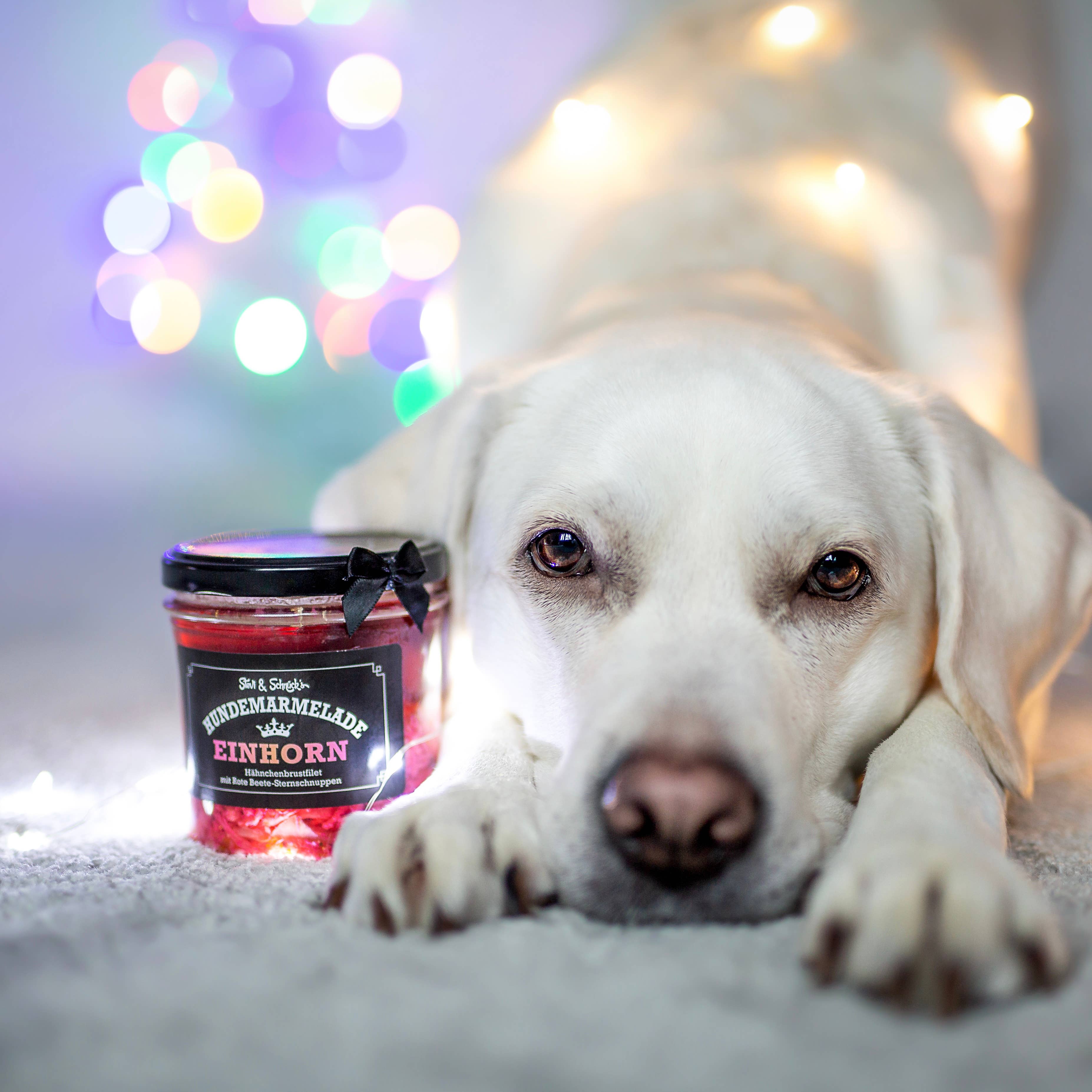 Meister Handelsmarken GmbH - Vendita all'ingrosso Snack - Cani - UNICORN DOG JAM - Paté per Cani con Pollo, Verdure e Barbabietola6