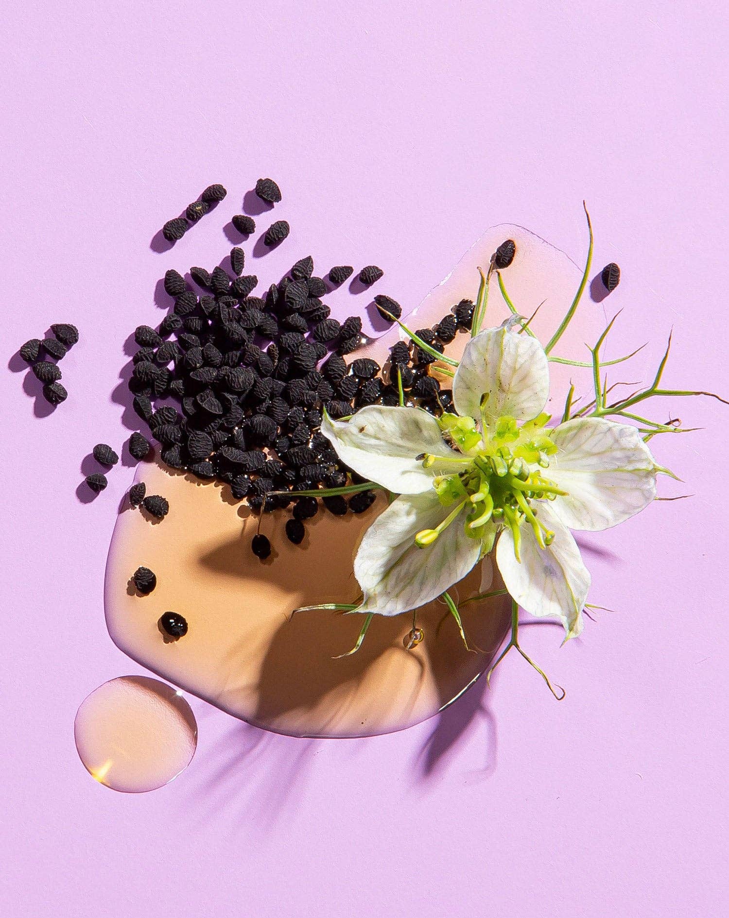 Heritage Store - Wholesale Oral Supplement/Vitamin - Black Seed Oil, Organic 8 oz/16 oz2