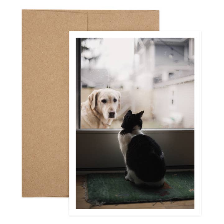Dog to Cat Themed 'I'm Sorry' Card for wholesale by Salty Dog Publishing
