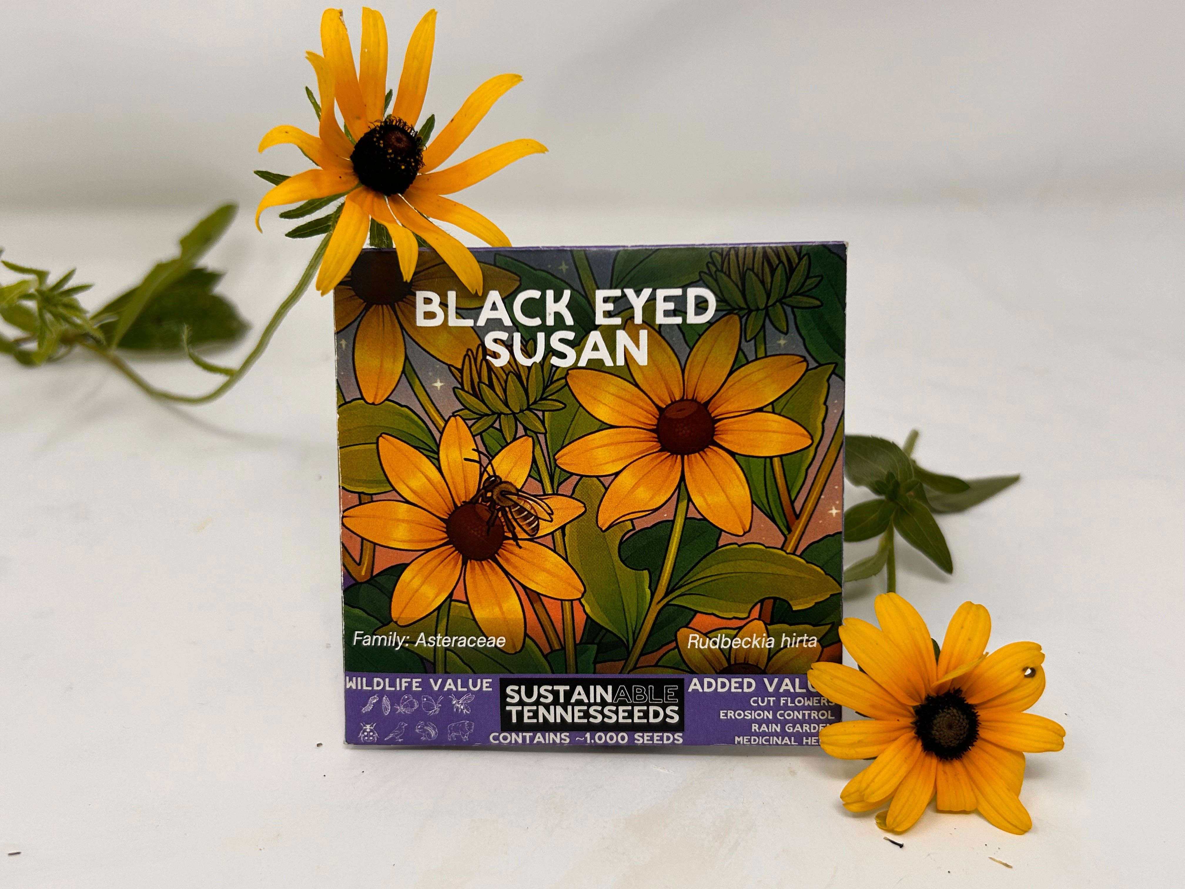 Plant for a Change - Wholesale Plant Seeds - Black-Eyed Susan1