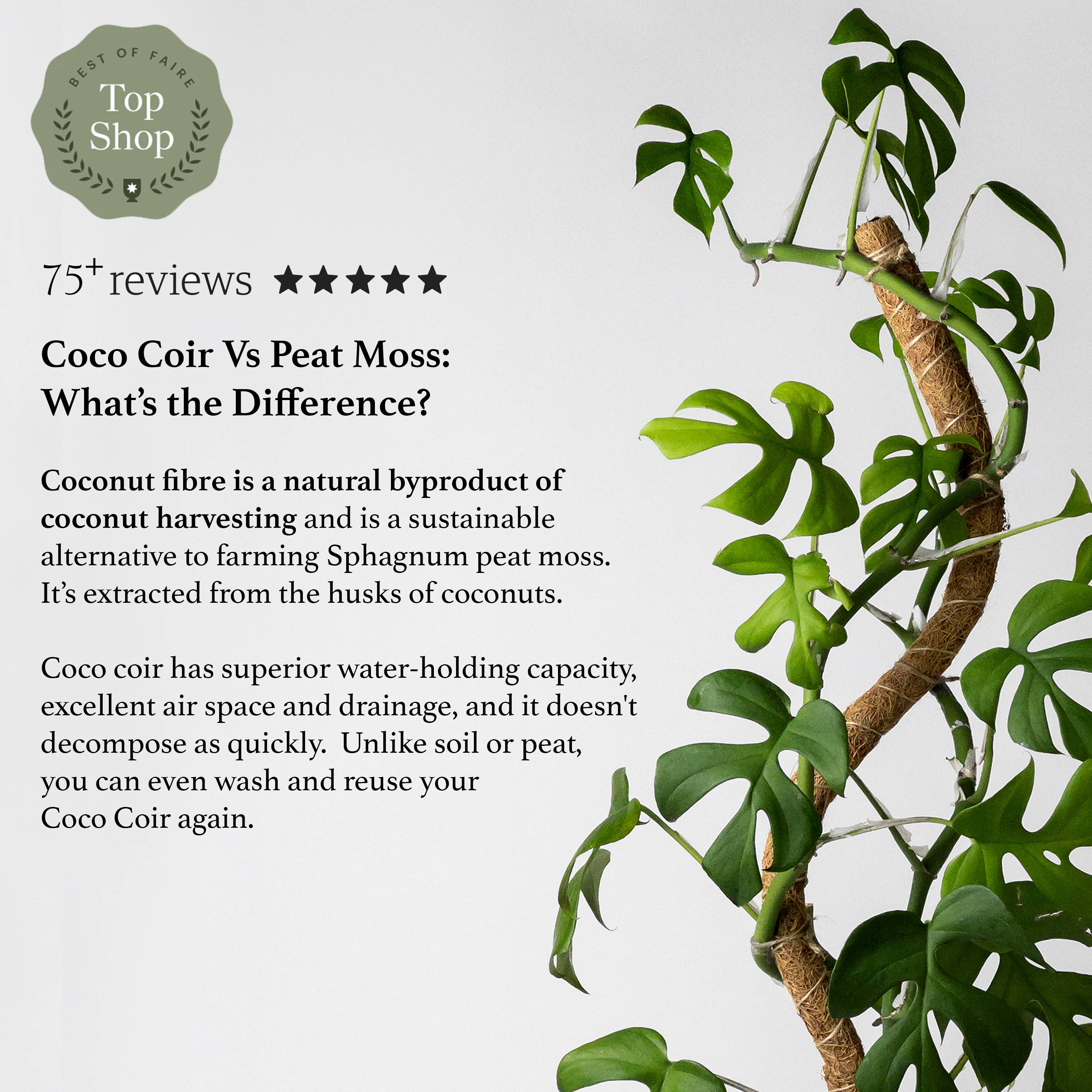 Kanso Designs - Wholesale Garden Tool - 24"/32"/40 Bend & Stackable Coco Coir Pole for Plant Support2