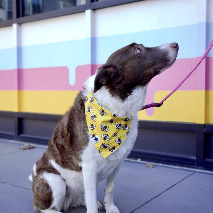 Dog Bandana Co. - Vendita all'ingrosso Bandana - Cani - Bandana per Cani a Doppia Faccia con Cravatta e Bottone a Pressione Api & Fiori2