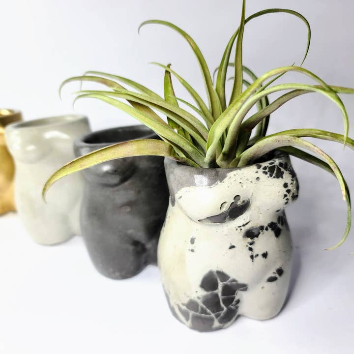 Geoform Designs - Vente Pot - Pot de statue de corps d'homme en béton | Jardinière de pénis | Porte-stylo8