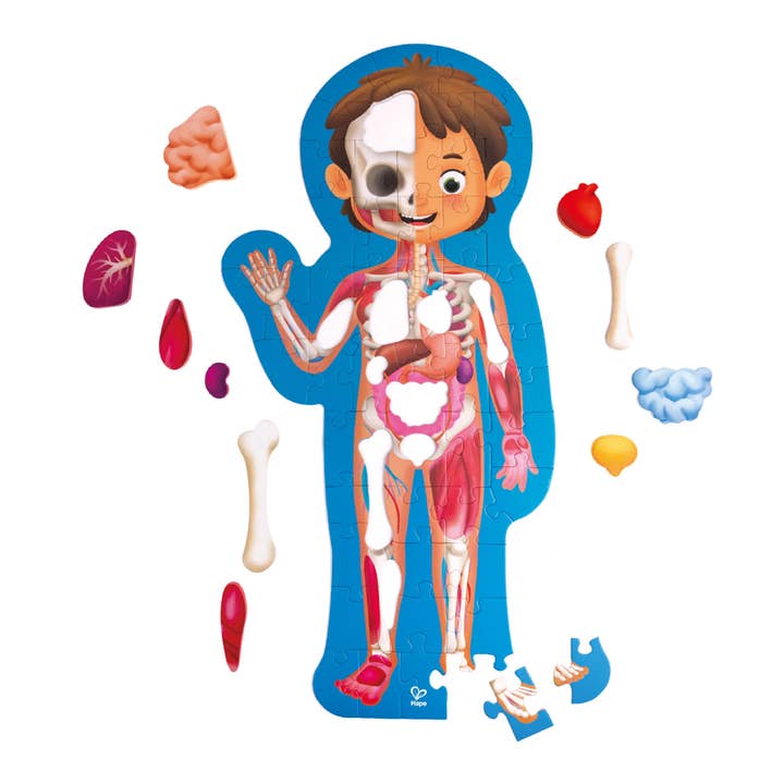 Puzzle du corps humain pour la vente par Hape Toys