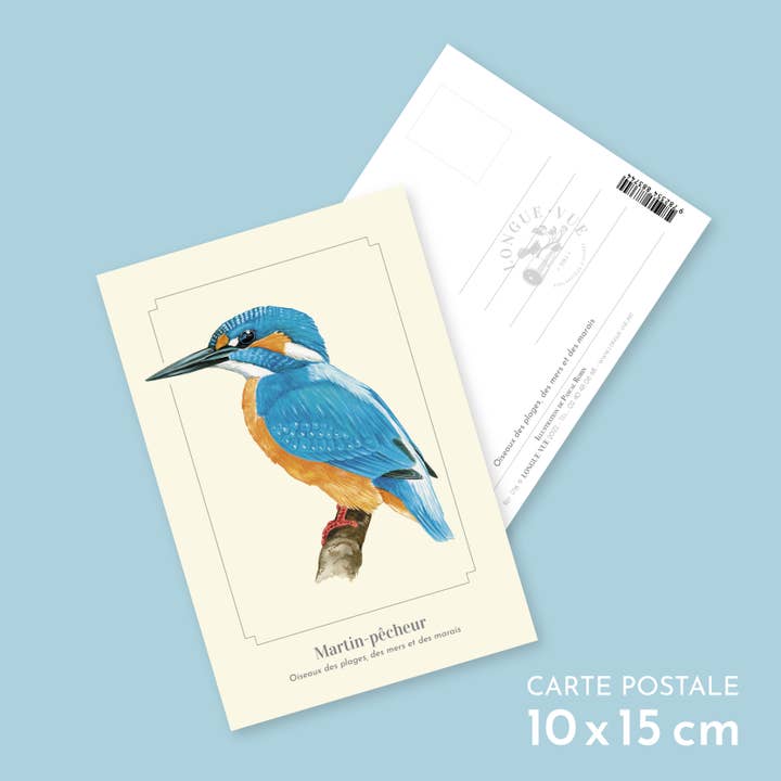 Longue-vue - Wholesale Postcard - Martin fisherman - Postcard