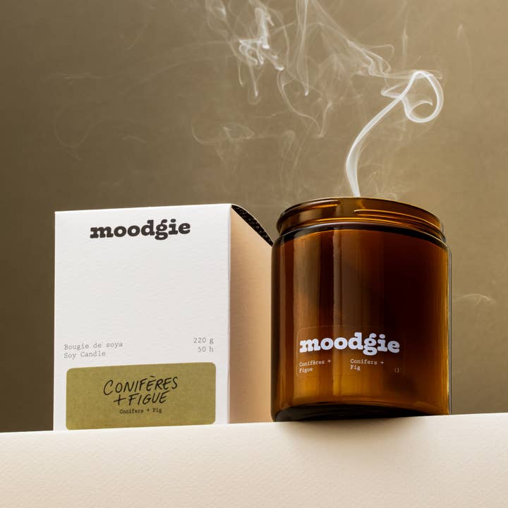 Conifères + Figue for wholesale by moodgie