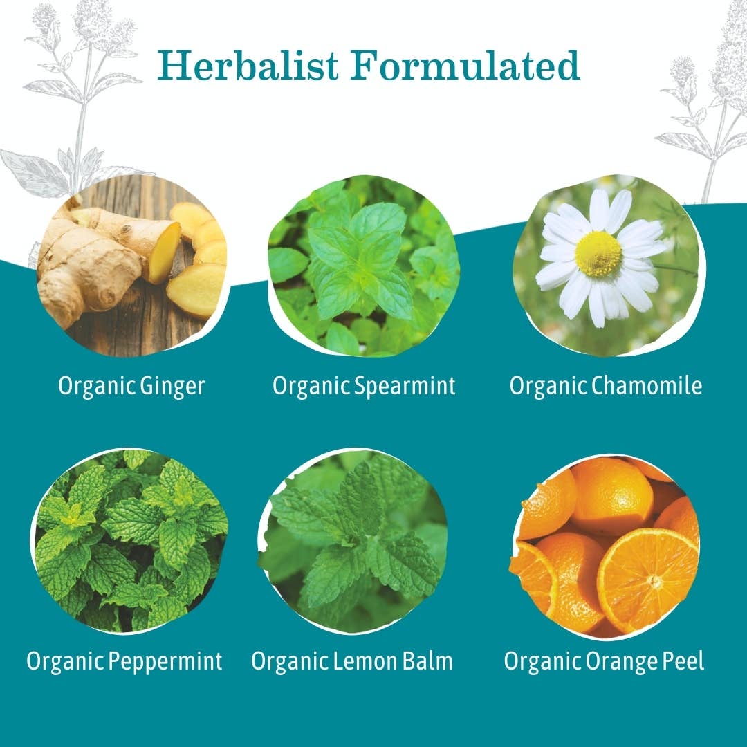 Earth Mama Organics - Wholesale Health/Detox Tea - Organic Ginger Nausea Tea3