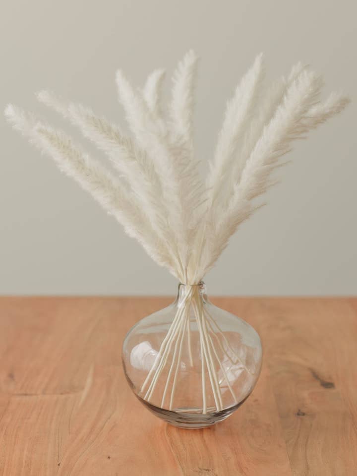 Mini Pampas for wholesale by Eucalypt Co.