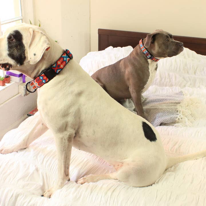 Heka - Wholesale Halsband - Hond - Aurora Vegan halsband5