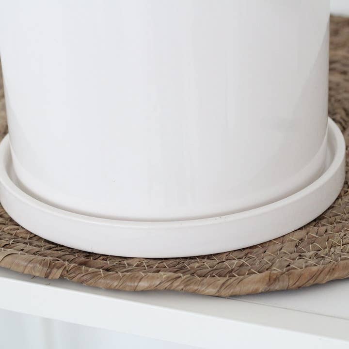 Sprout & About - Wholesale Plant Pot - Small Planter with Saucer in Minimalist Glossy White5