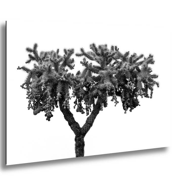 Black and White Cholla Cactus Print: Desert Minimalist Wall Decor for wholesale by Images By Cheri