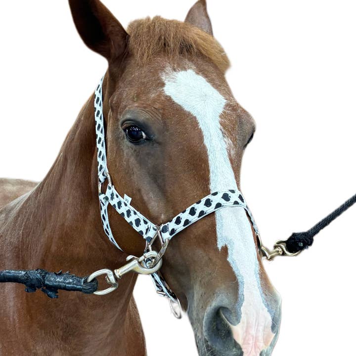 Neon Spur LLC - Wholesale Horseback Riding Gear - Smokin Spades Nylon Quick-Release Horse Halter1