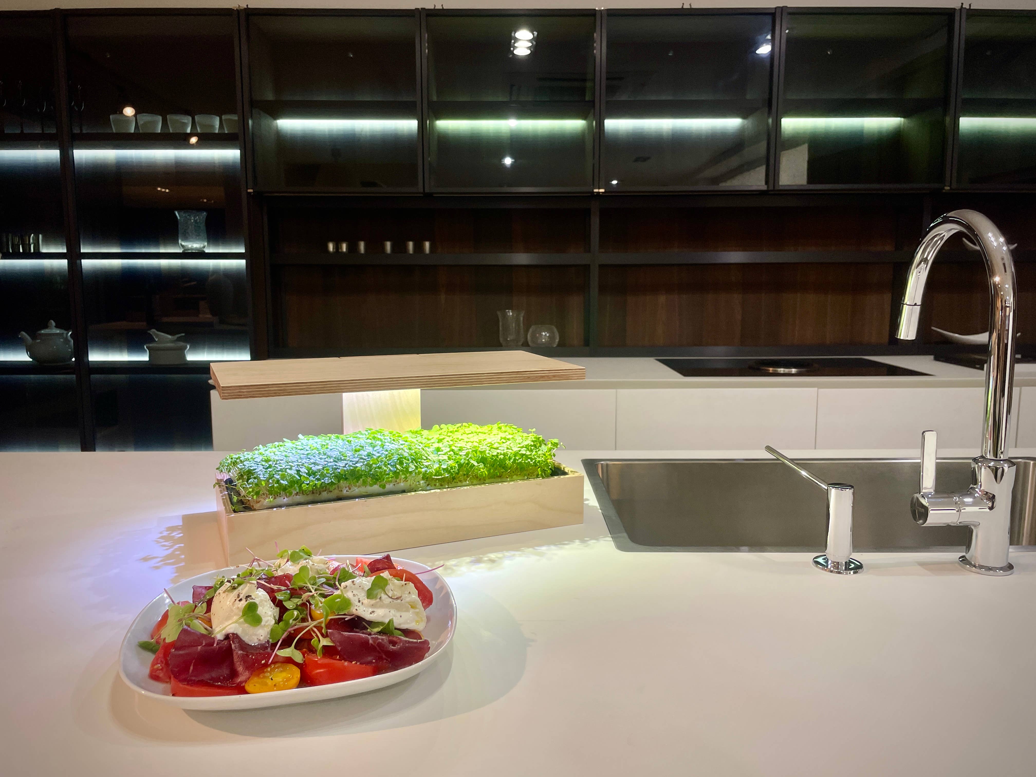 Caulys - Wholesale Plant Pot - Caulys Home - SOLO6