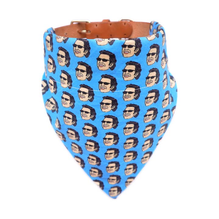 Dog Bandana - Goldblum for wholesale by Steph & Joe Art Co.