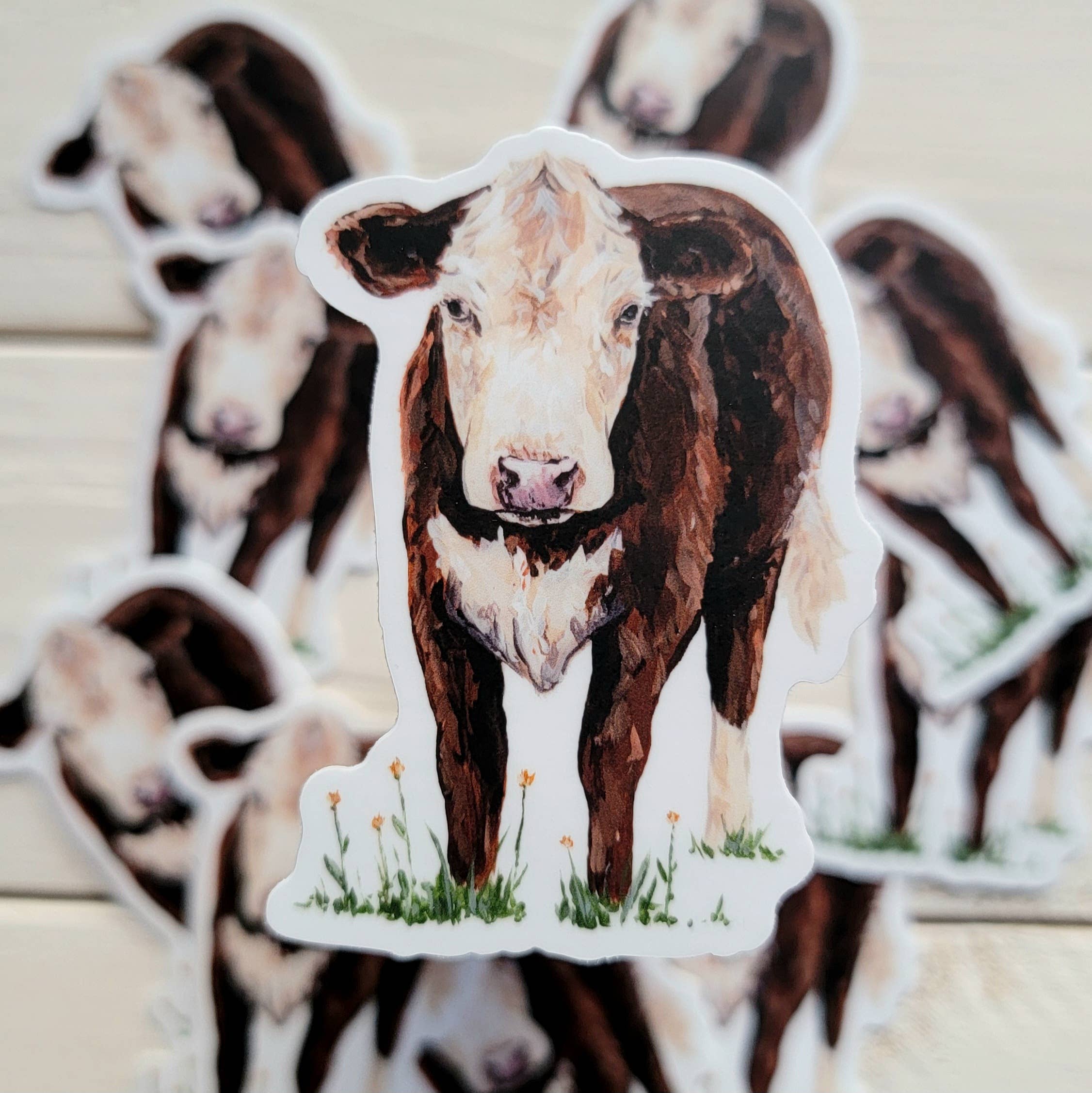 The Cranberry Finch - Wholesale Sticker - Hereford Red and White Cow Vinyl Sticker2