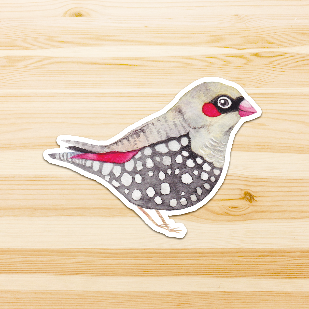 Watercolour By Cat - Vendita all'ingrosso Adesivo - Adesivo in vinile con grande uccello australiano21