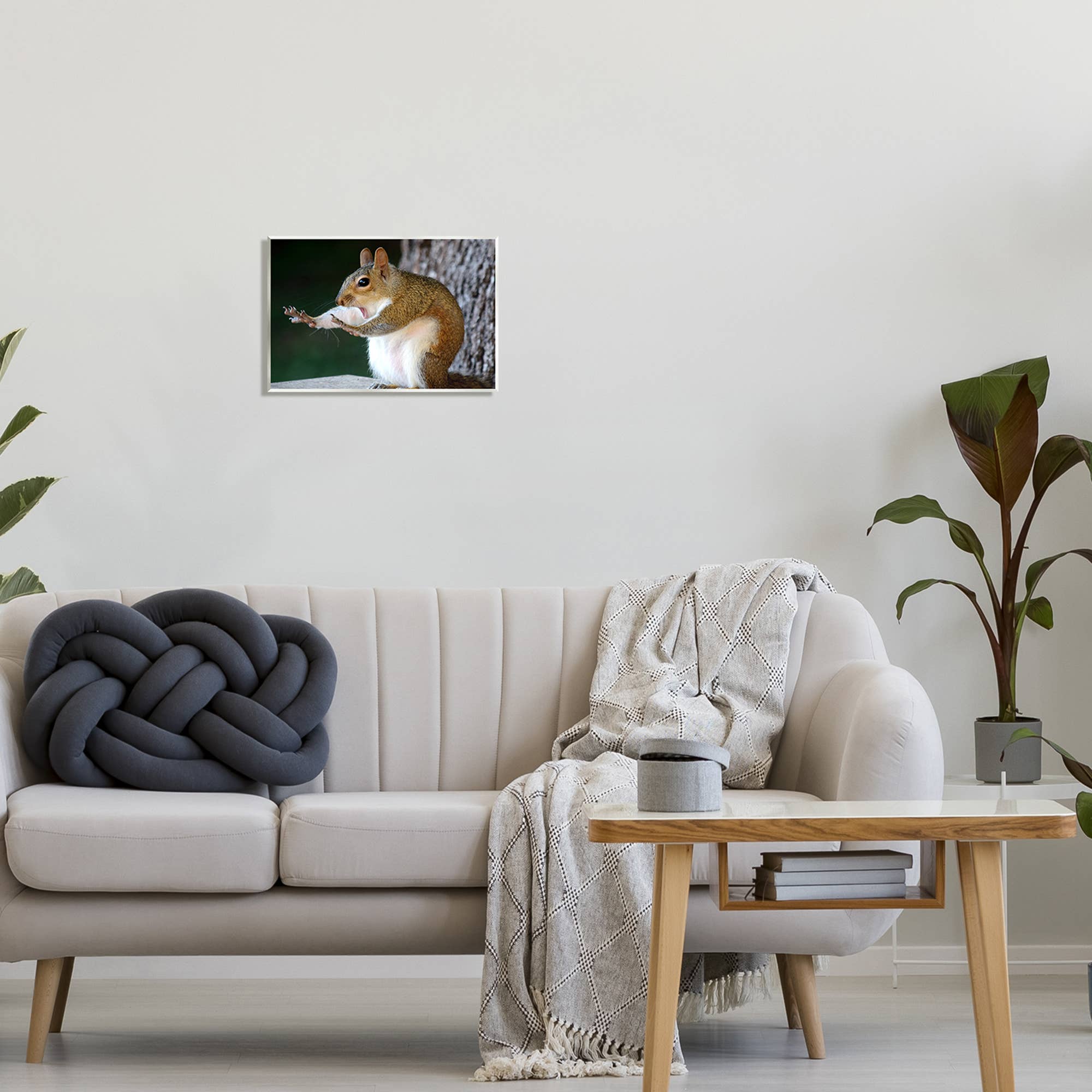 Stupell Industries – wholesale Väggplakett – Rolig chockad pose ekorrplackkonst0