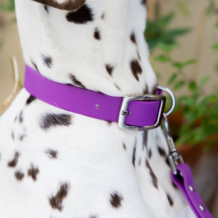 Ploouf Dogs - Wholesale Pet Collar - Dog - Dahlia purple “soft touch” dog collar2